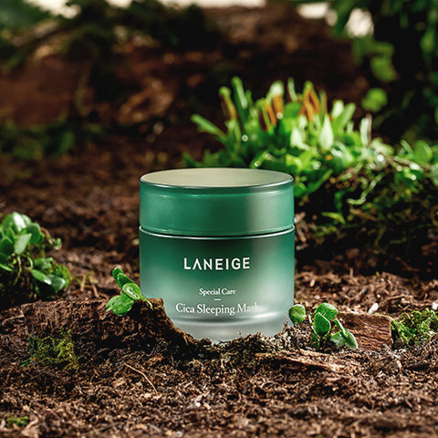 Laneige Cica Sleeping Mask